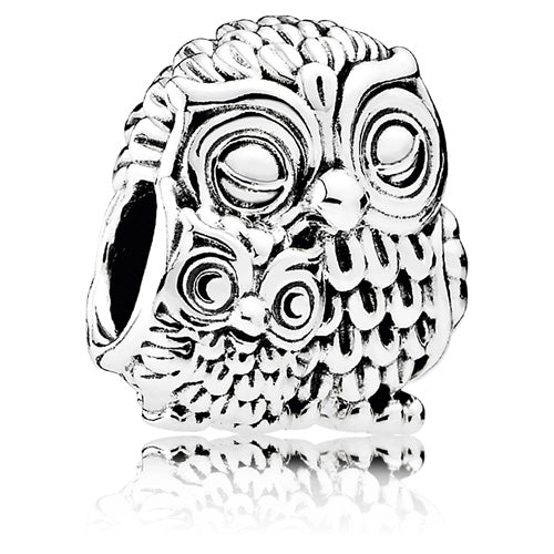 charming-owl-family-charm-791966