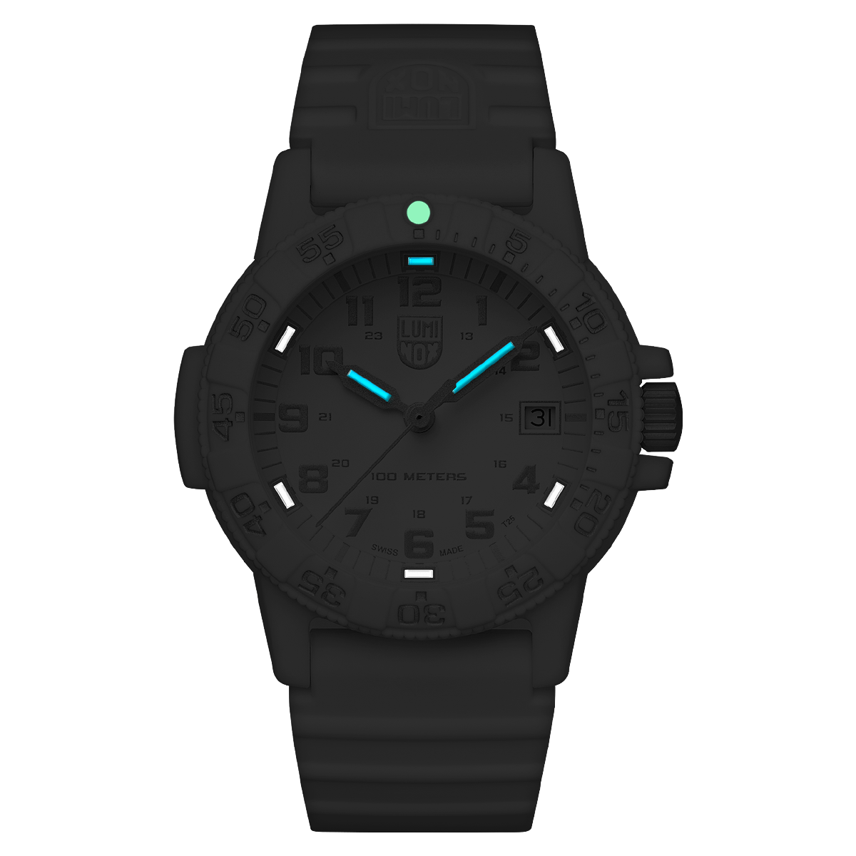 Luminox Leatherback Sea Turtle XS.0307.WO